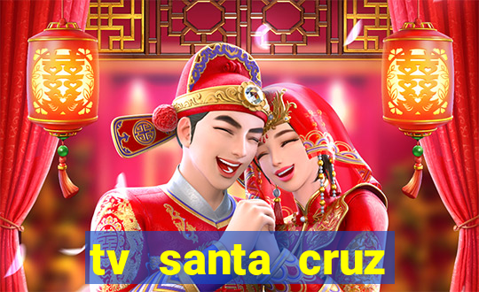 tv santa cruz bahia meio dia ao vivo
